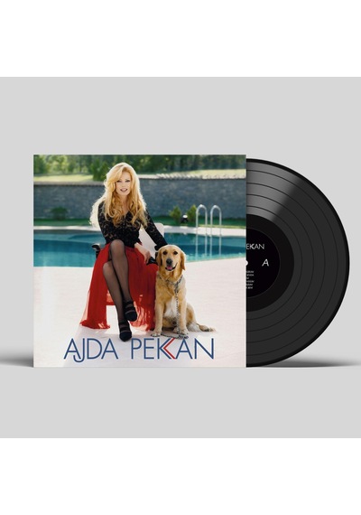 Ajda Pekkan - Eğlen Güzelim Plak