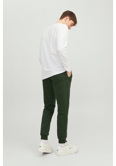 Jack & Jones Jpstgordon Jjnewsoft Sweat Pant Gms Noos Yeşil 001