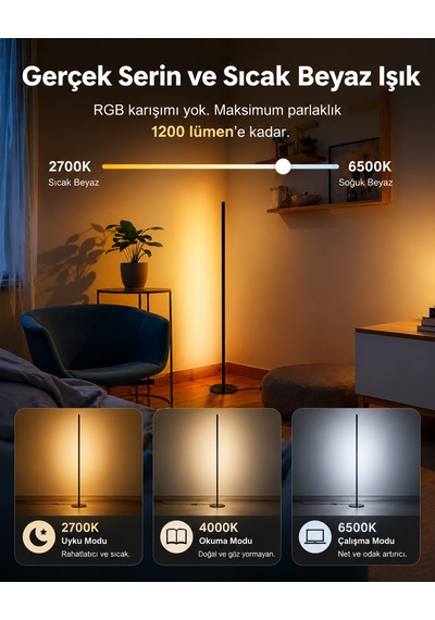 Çok Renkli Akıllı Lambader