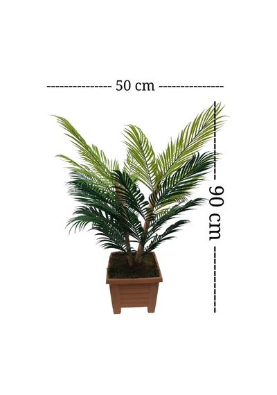Areka 4 Bambu Gövdeli Palmiye Ağacı Kare Saksıda