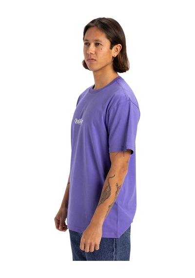 Quıksılver Quiksilver Fineline Erkek Mor Tişört Pmg0 Mor