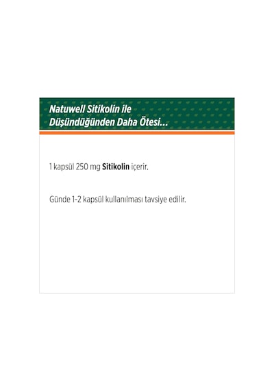 Sitikolin 250 Mg Takviye Edici Gıda 30 Kapsül