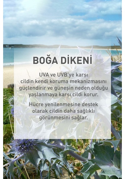 Yves Rocher Spf 50 Yüksek Korumalı Yağlanma Ve Leke Karşıtı Yüz Güneş Kremi/solaire Peau Parfaite-40 Ml