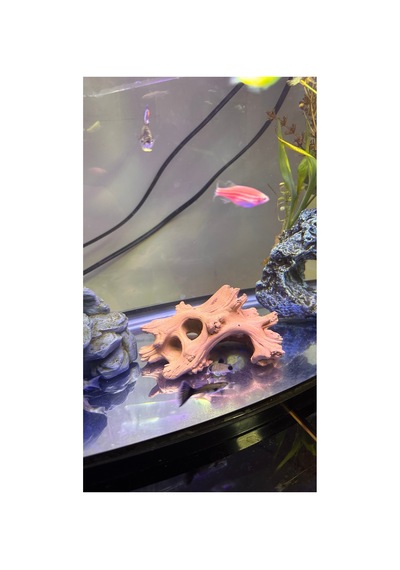 Akvaryum Ve Terraryum İçin Dekoratif Kök