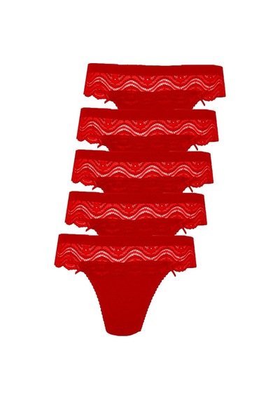 5Li Kadın Dantelli Bikini Külot Pamuklu Arkası Düz Kaliteli Fnd