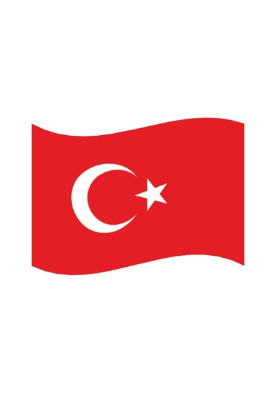 300x450 Cm Türk Bayrağı Alpaka Kumaş T09