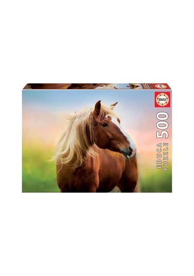 500 Horse At Sunrıse Fsc R