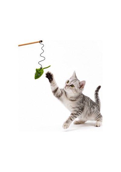 Kedi Oltası - Dawcat - Fare Figürlü - Yeşil