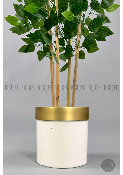 Yapay Benjamin Ağacı 140cm Krem Gold Metal Saksıda Krem-gold