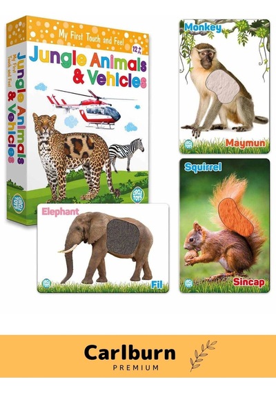 Özel Üretim Görsel Algı Eğlenceli Öğrenme Hisset Orman Hayvanları Ve Araçlar Eğitim Kartları