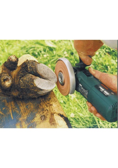 Philipsen Tırnak Kesme Diski Profi 115 mm