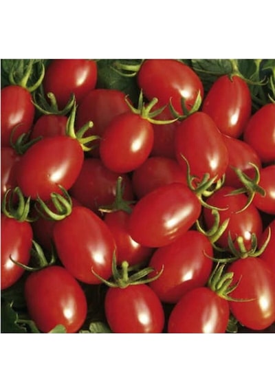 75 Adet Tohum Organik Köy Cherry Çeri Domates Tohumu Saksılık Sürpriz Hediye Tohumludur