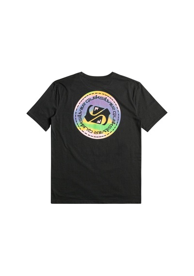 Quiksilver Quıksılver Colourflow M Tees Erkek T-shırt Eqyzt07229-kvj0 Siyah