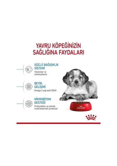 Ayrex Medium Junior Orta Irk Yavru Köpek Maması 4 Kg