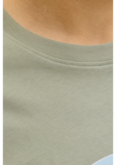 Jack & Jones Jorcatskılls Front Baskılı Erkek Tişört Bisiklet Yaka Kısa Kollu Açık Yeşil Jack & Jones Jorcatskılls Front Baskılı Erkek Tişört Bisiklet Yaka Kısa Kollu Açık Yeşil