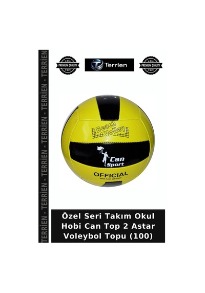 Özel Seri Takım Okul Hobi Can Top 2 Astar Voleybol Topu 100 Çok Renkli