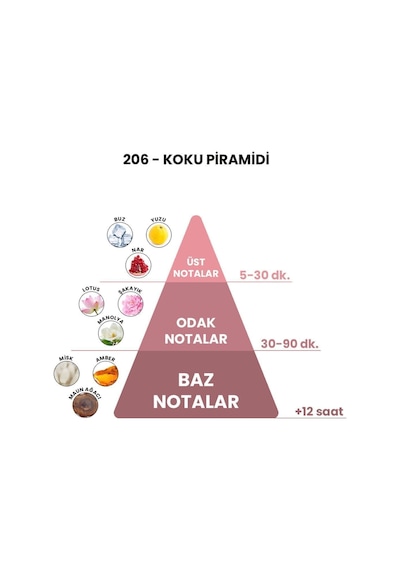 BEX 206 Kadın Parfüm EDP 50 ML