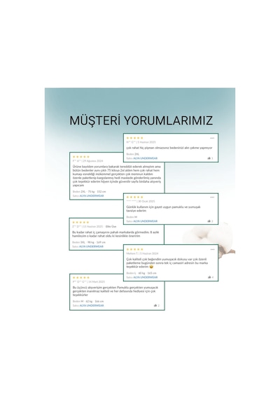 Alya Underwear Kadın Pamuklu Hipster - Slip Külot 5 Farklı Renk 1 Pakette Multicolor-p10