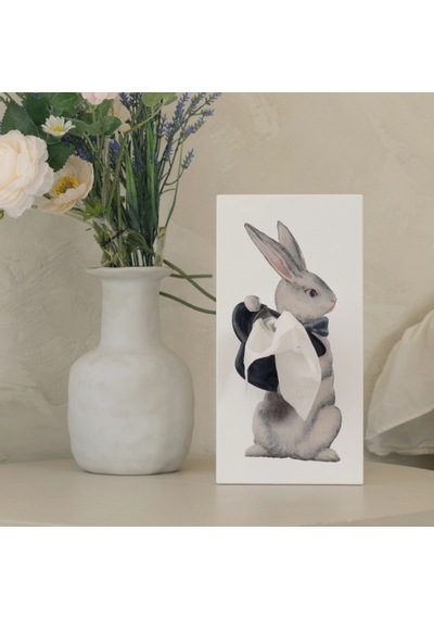 Spextrum Tissue Up Tale Wonder Rabbit Peçetelik Beyaz