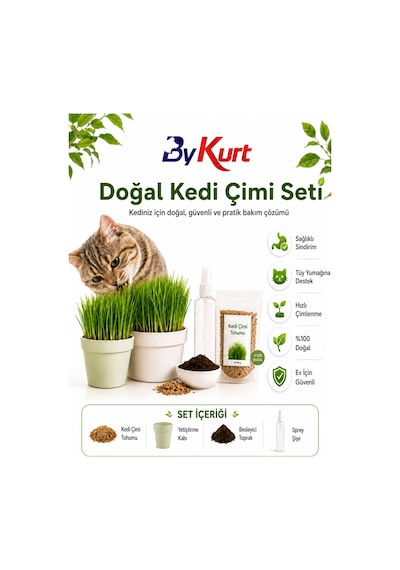 Kedi Çimi Seti Bykurt Doğal Kedi Otu Tohumu Yetiştirme Kabı Toprak Ve Sprey Şişeli Ev İçin Güvenli Kedi Çimi Seti