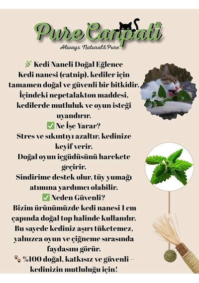 Purecanpati Kedi Naneli Matatabi Çubuğu Kediler Için Doğal Oyun Ve Mutluluk 3 Adet