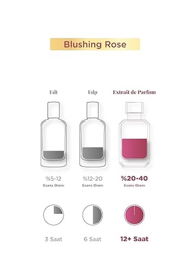 Aryené Blushing Rose Parfüm Parfume For Women 50 Ml Ada Esintisi