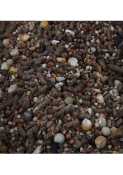 Karışık Kemirgen Yemi Hamster Ginepik Tavşan Yemi 1 Kg