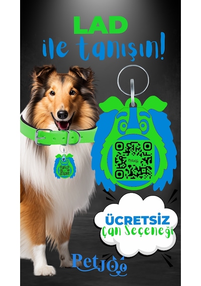 Petjoo 23.Lad Mavi-Yeşil Qr'lı Köpek Künyesi