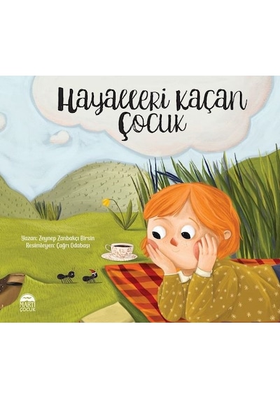 Hayalleri Kaçan Çocuk - Zeynep Birsin - Martı Yayınları