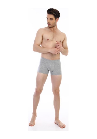 3 Adet Çift Kaplan Erkek Elastanlı Boxer 810 Gri