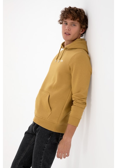 U.S. Polo Assn. Erkek Regular Fit Kapüşonlu Şardonlu Hardal Basic Sweatshirt 50315582-VR151