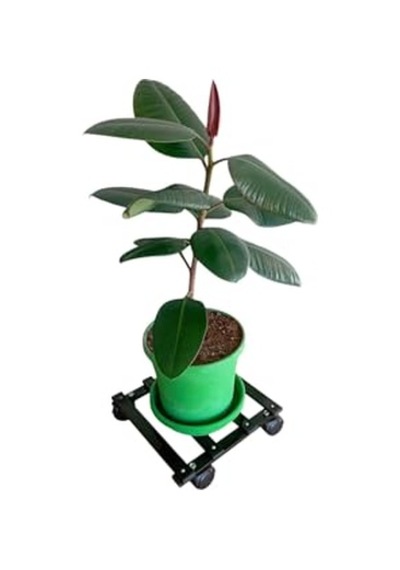 Ayrex Holtech Metal Tasarım Tekerlekli Saksı Altlığı 30 Cm Taşınabilir Hareketli Saksılık Damacana Altlığı Diğer