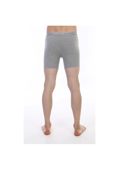 Çift Kaplan 855 Uzun Erkek Boxer 001
