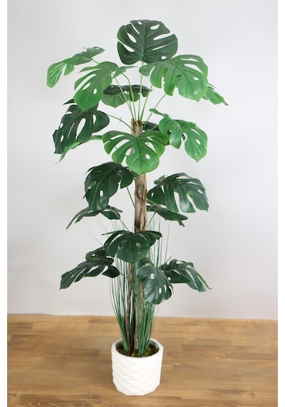 Yapay Monstera Ağacı 105 Cm Krem Saksılı