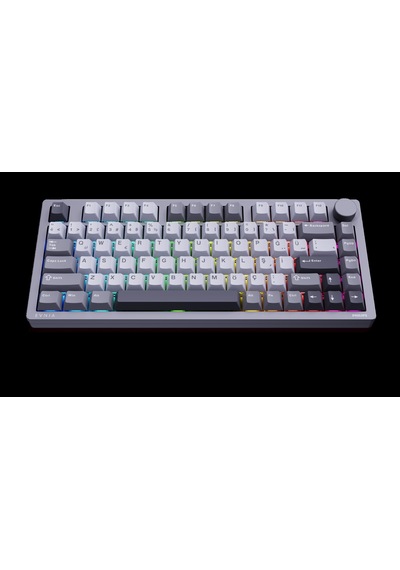 Philips Evnia Spk8618dtrh Hotswap Makrolu 3 Modlu Metal Gaming Oyuncu Klavyesi Gri