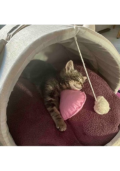 Tineke Kedi Ve Köpek Battaniyesi Yumuşak Welsoft Peluş Yıkanabilir 1 Adet Fuşya Küçük Boy 80x60 Acı Kahve - Pembe