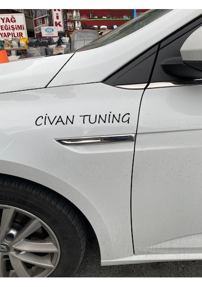 Megane 4 Çamurluk Çıtası Krom 2016-2020