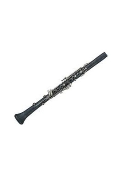 Leblanc Bliss Plastik Klarnet Lb320Vnpc
