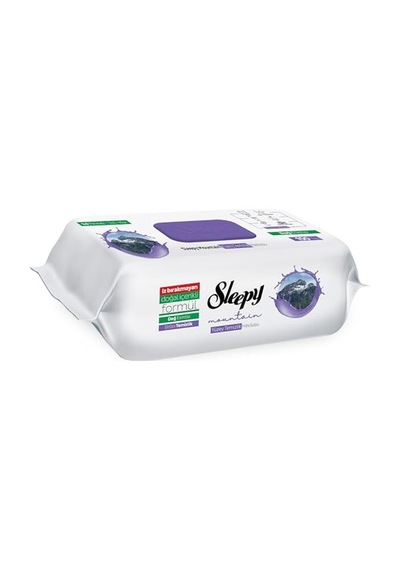 Sleepy Mountain Yüzey Temizlik Havlusu&mendili Dağ Esintisi 100 Yaprak