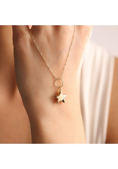 14 Ayar Altın Choker Kolye Yıldız Form