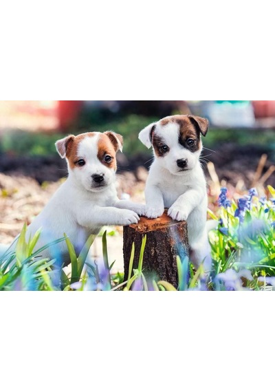 , 2x12p Puzzle Yavru Köpekler, Çocuk Puzzle Standart