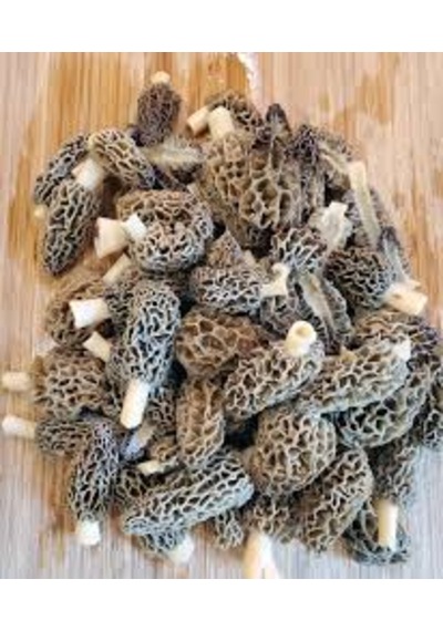 Kuzu Göbeği Mantarı Tohumu 100 Gram Yetiştirme Yönergesi İle 1 adet