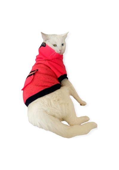 Kemique Pink Stars Kapşonlu Kedi Sweatshirt