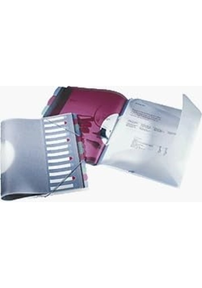 Esselte Mineral 49058 Lastikli Ayraçlı Dosya A4 12 Bölmeli Katalog Rengi