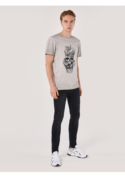 Colin's Colins Regular Fit Bisiklet Yaka Baskılı Gri Erkek Kısa Kol Tişört Cl1060079 Gri