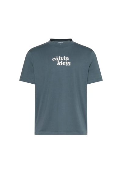 Calvin Klein Ss 20s Calvınkleın T, Ceg Gri Erkek T-shirt