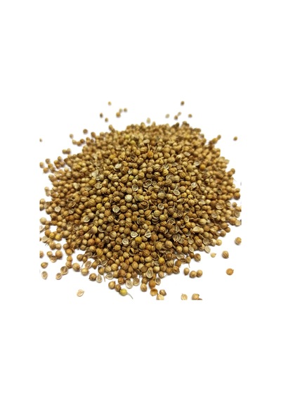 Kişniş Tane 250 Gr