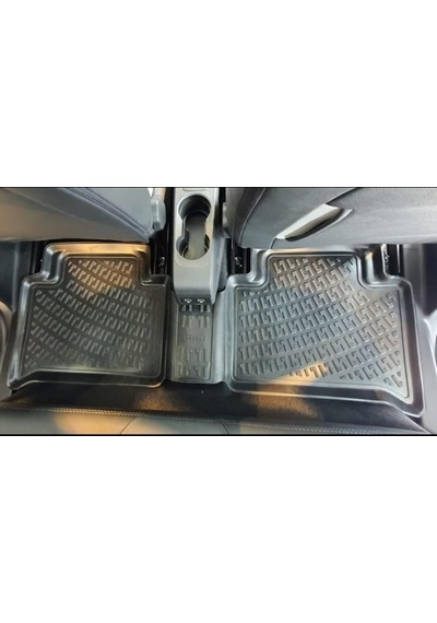 Renault Zoe 3D Paspas. Zoe 3D Havuzlu Paspas. 2012-