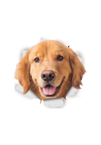 Muhteşem Golden Köpek Araba Sticker Leptop Yapıştırma