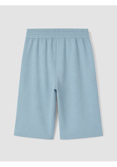 Lcwaıkıkı Classic Mavi Regular Fit Erkek Şort